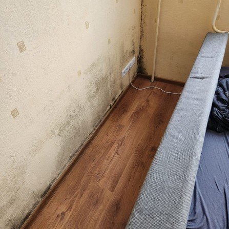 Plējums uz ārsienas un nepietiekama ventilācija
